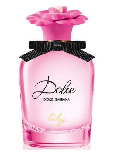 dolce gabbana lilium|dolce and gabbana lily.